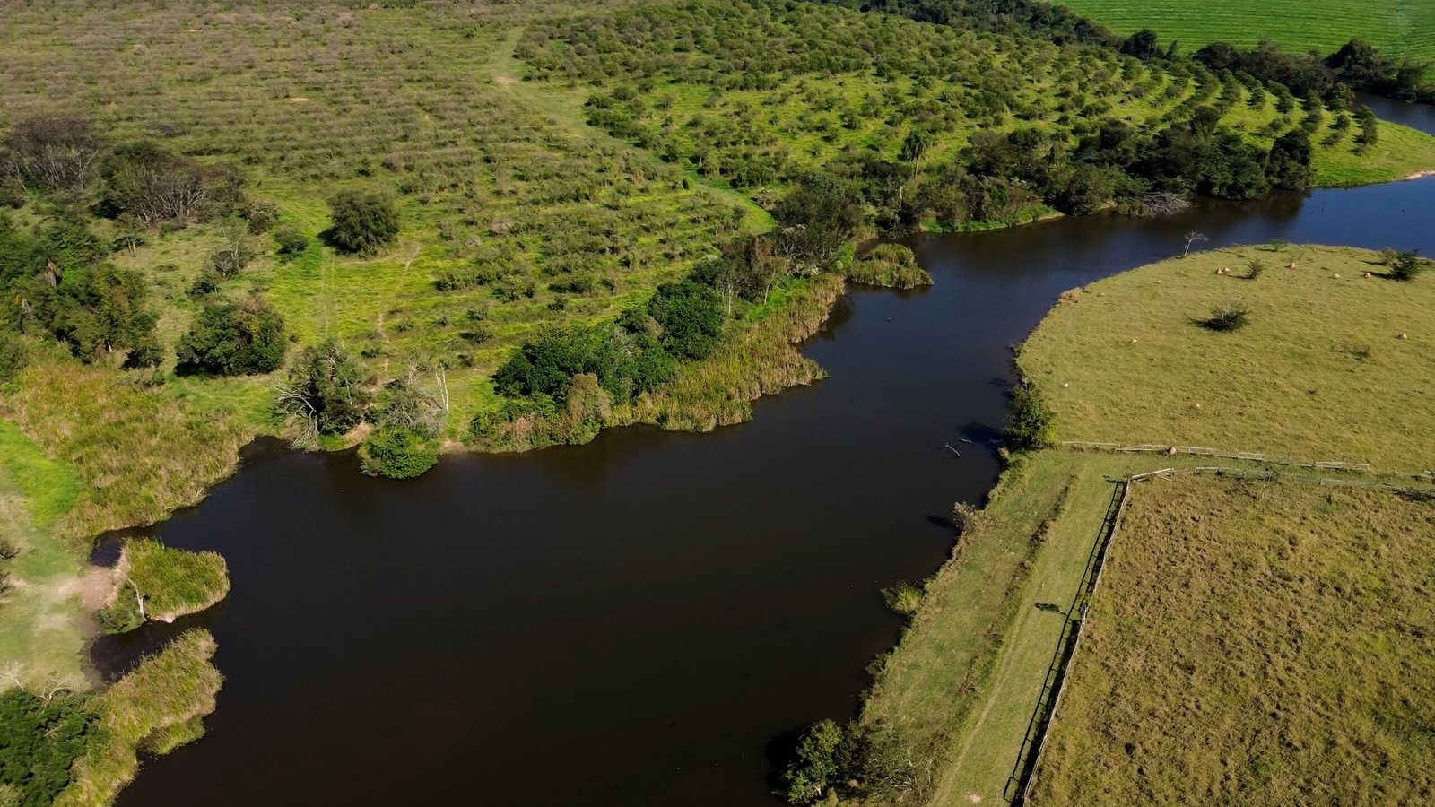 Sítio de 4.3 alqueires à venda em Porto Feliz-SP.