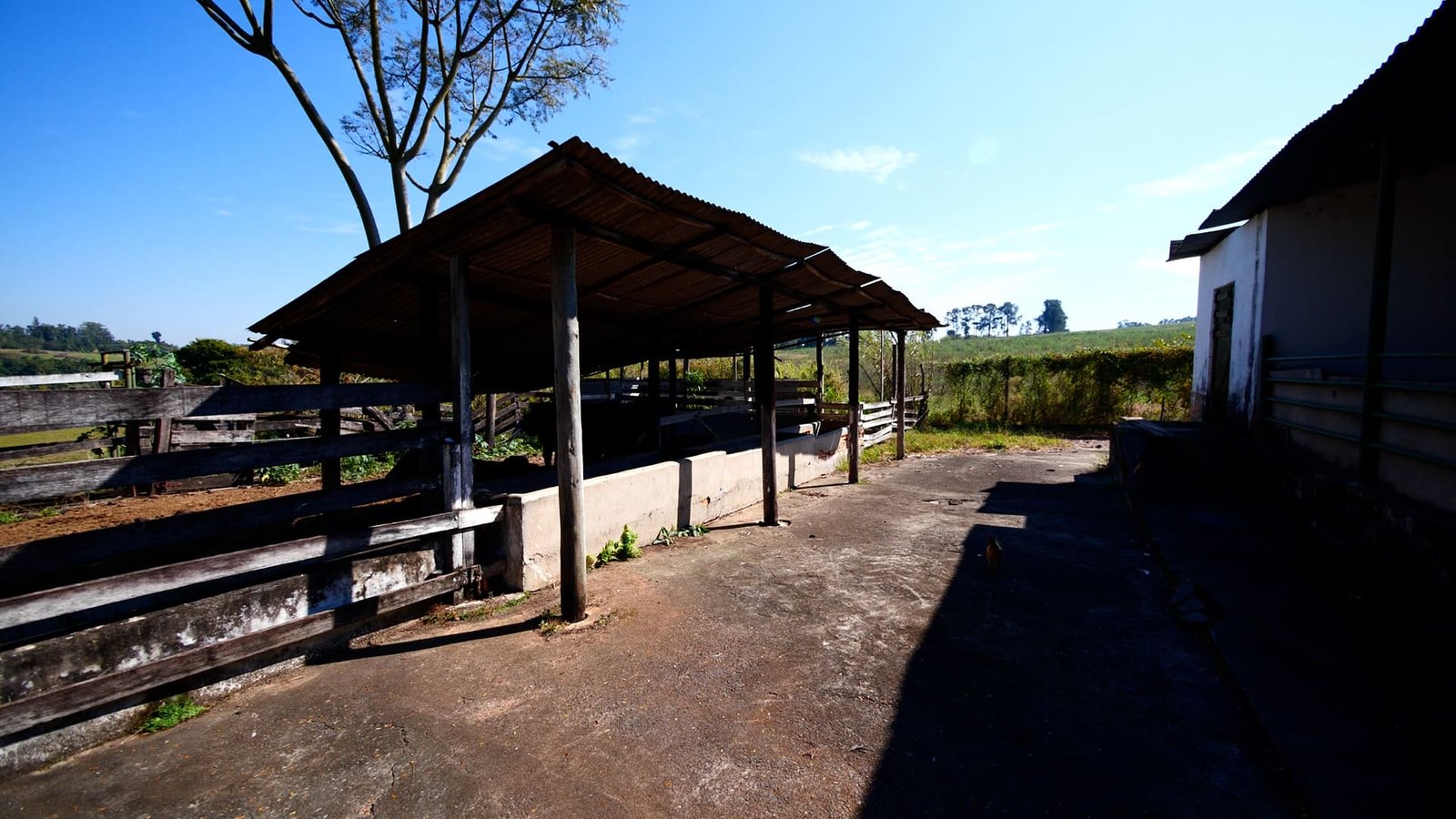 Sítio de 4.3 alqueires à venda em Porto Feliz-SP.