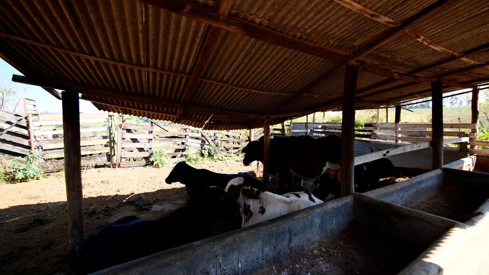 Sítio de 4.3 alqueires à venda em Porto Feliz-SP.