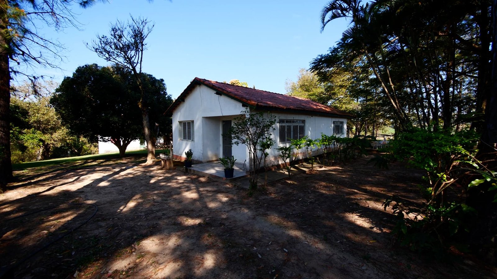 Sítio de 4.3 alqueires à venda em Porto Feliz-SP.