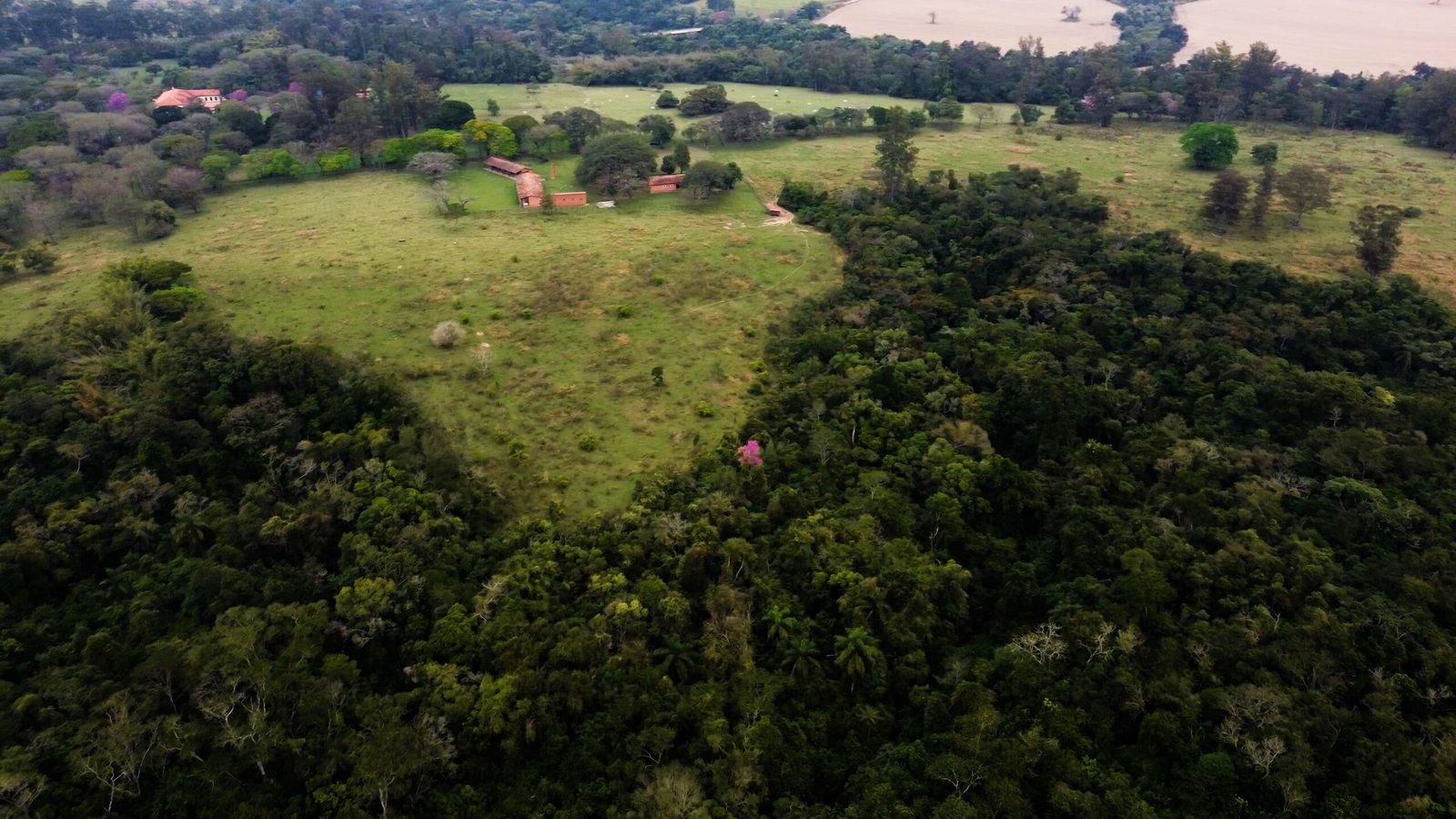 Fazenda de 213 hectares com casa centenária na região de Porto feliz-SP
