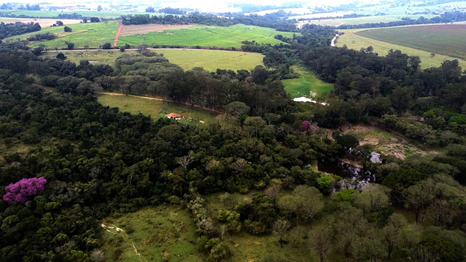Fazenda de 213 hectares com casa centenária na região de Porto feliz-SP