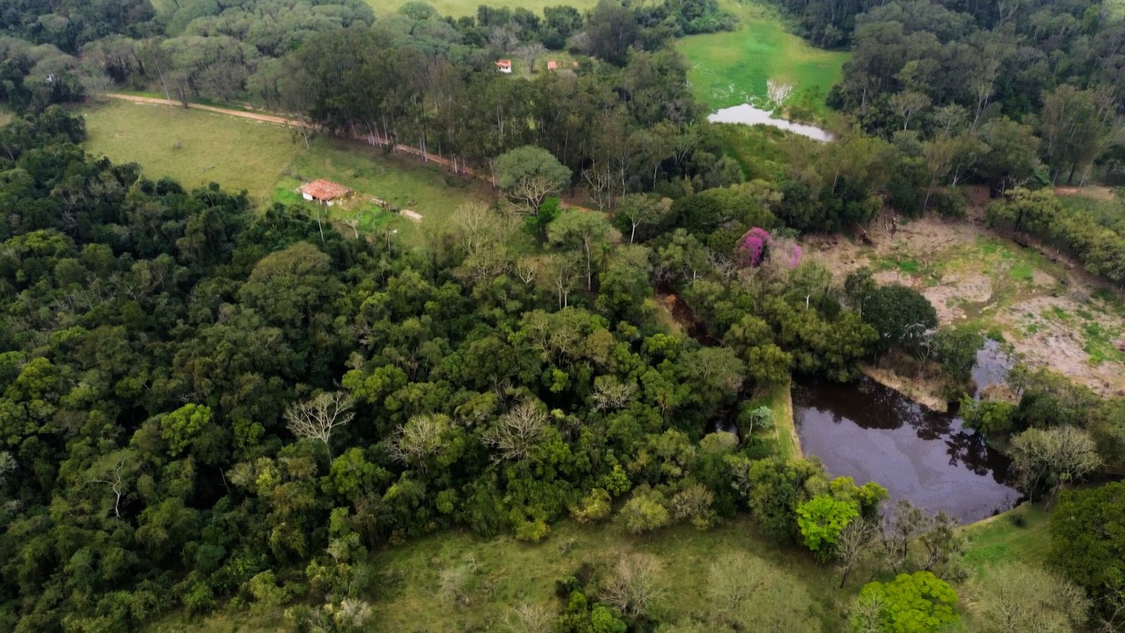 Fazenda de 213 hectares com casa centenária na região de Porto feliz-SP
